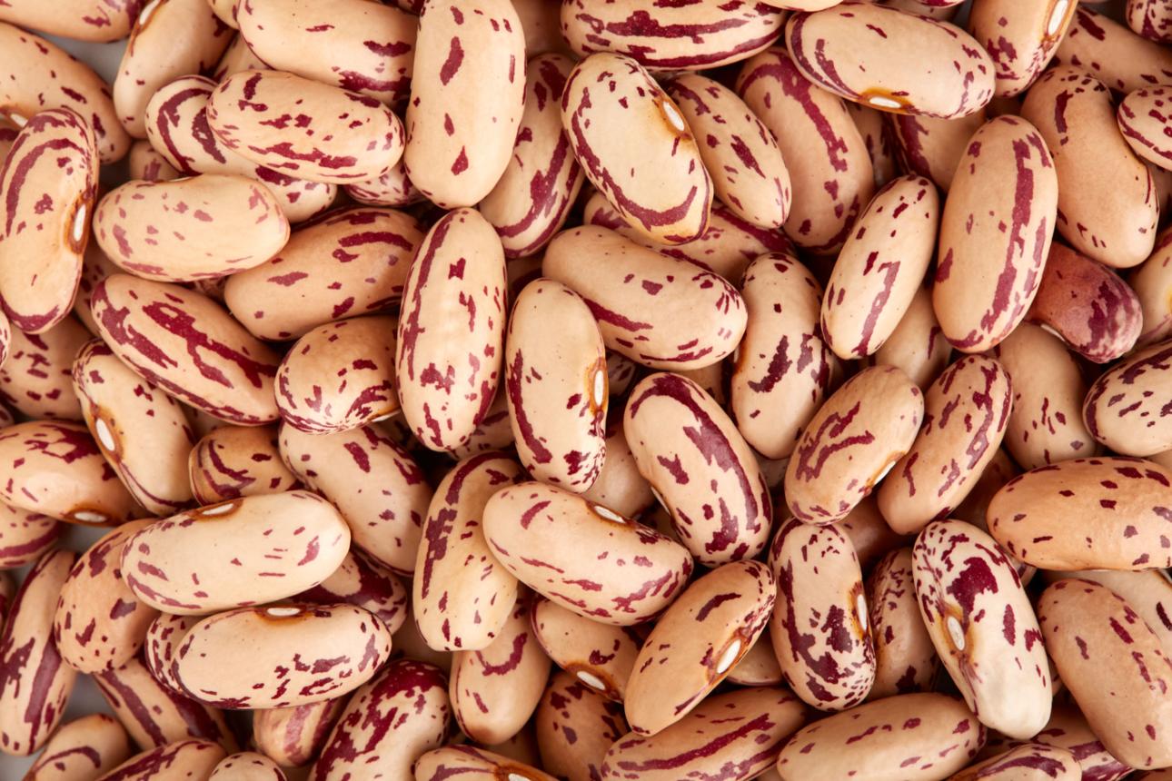 Light Speckled Kidney Beans — pulses sourced from Arsi, Ethiopia