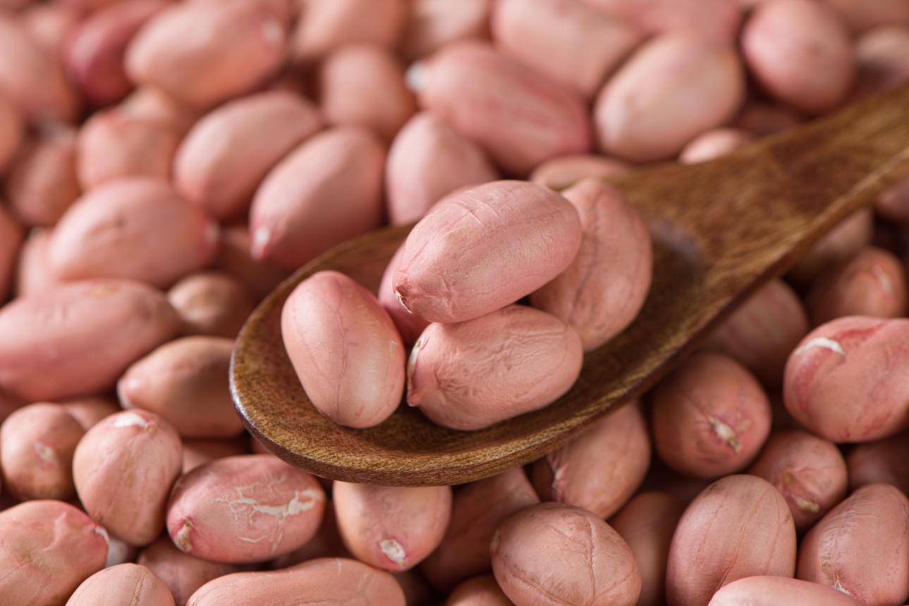 Peanuts — oilseeds sourced from Eastern Hararghe, Ethiopia