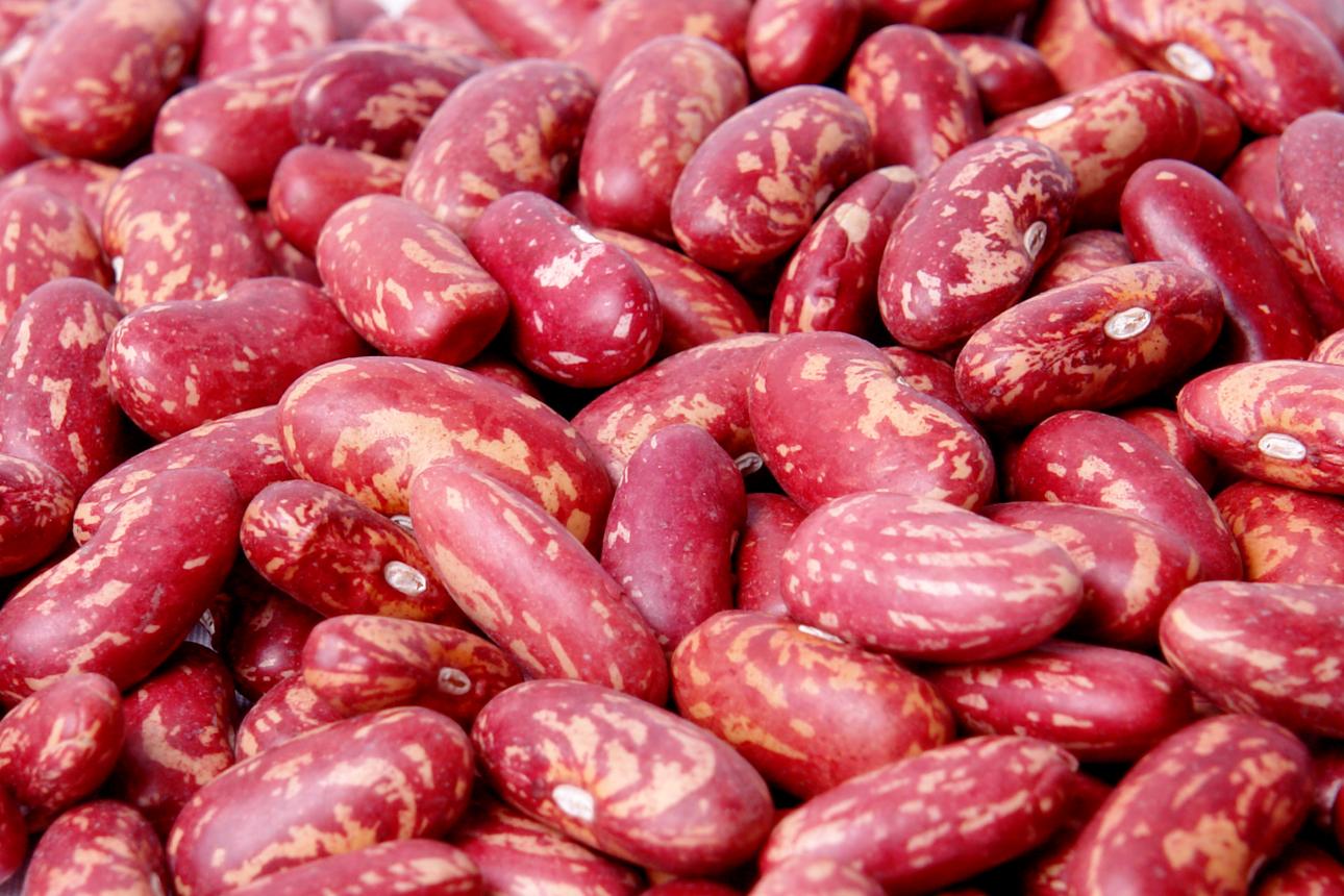 Red Speckled Kidney Beans — pulses sourced from Arsi, Ethiopia