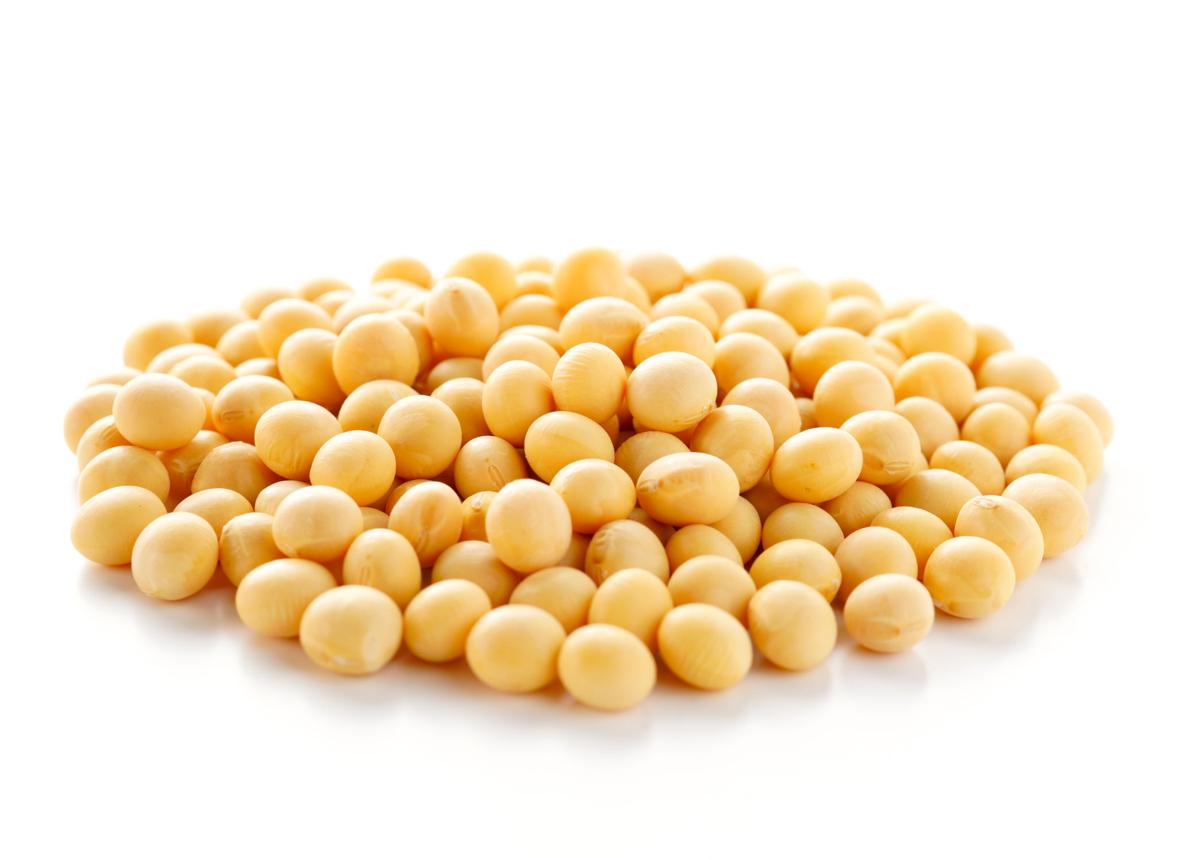 Soybeans — oilseeds sourced from Pawe, Ethiopia